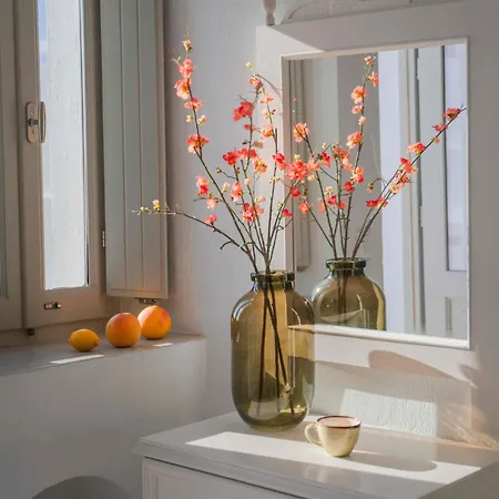 公寓 Spitia Tzitzi 易莫洛林